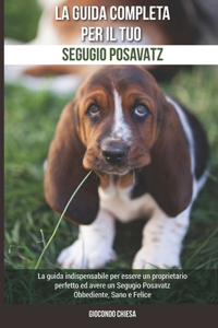La Guida Completa per Il Tuo Segugio Posavatz