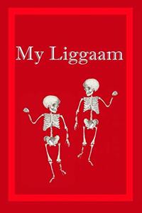 My Liggaam