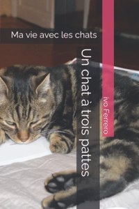 Un chat à trois pattes