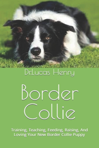 Border Collie