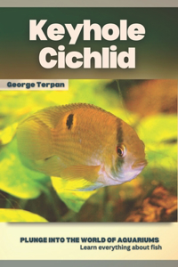 Keyhole Cichlid