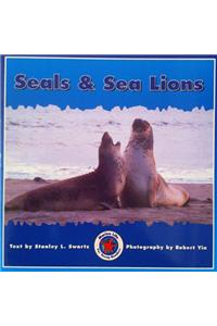 Seals & Sea Lions