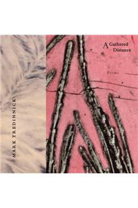 Gathered Distance