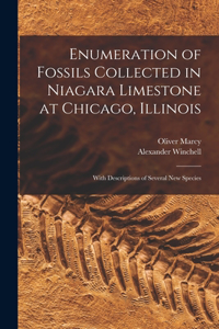 Enumeration of Fossils Collected in Niagara Limestone at Chicago, Illinois; With Descriptions of Several new Species