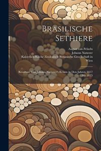 Brasilische Sethiere