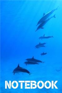 Dolphin Notebook