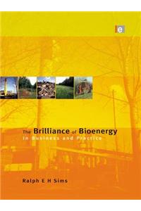 The Brilliance of Bioenergy
