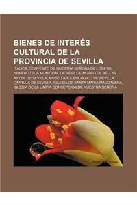 Bienes de Interes Cultural de La Provincia de Sevilla