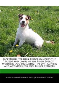 Jack Russel Terriers