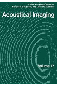 Acoustical Imaging