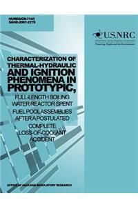 Characterization of Thermal-Hydraulic and Ignition Phenomena in Prototypic, Full-Length Boiling Water Reactor Spent Fuel Pool Assemblies After a Postulated Complete Loss-of-Coolant Accident