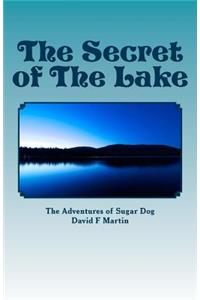 The Secret of The Lake