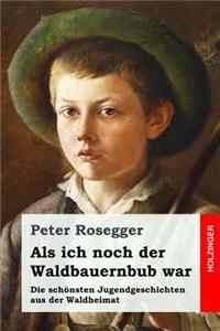 Als ich noch der Waldbauernbub war
