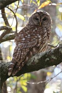 Barred Owl Journal