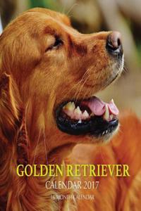 Golden Retriever Calendar 2017