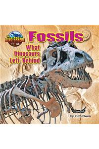 Fossils: What Dinosaurs Left Behind