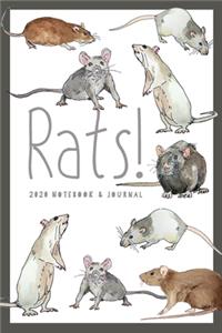 Rats! Rat Journal