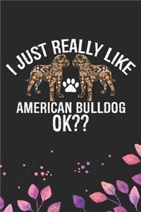 I Just Really Like American Bulldog Ok?