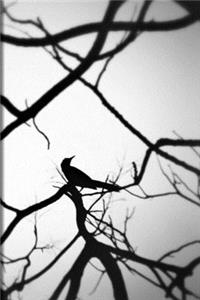 Bird on a Branch Journal