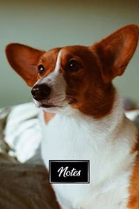 Pembroke Welsh Corgis Dog Pup Puppy Doggie Notebook Bullet Journal Diary Composition Book Notepad - Dreamy Eyes