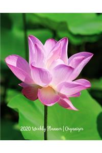 2020 Weekly Planner - Organizer