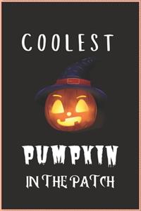 Coolest Pumpkin in the Patch