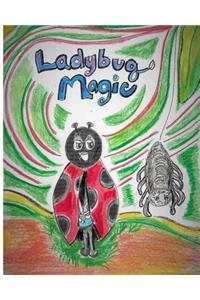 Ladybug Magic