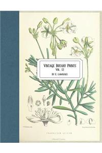 Vintage Botany Prints