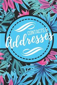 Contacts & Addresses