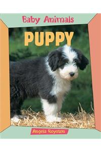 BABY ANIMALS PUPPY