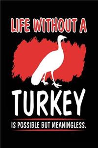 Life Without A Turkey Is Possible But Meaningless.