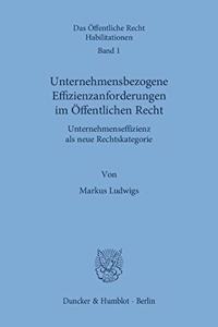 Unternehmensbezogene Effizienzanforderungen Im Offentlichen Recht