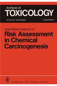 Quantitative Aspects of Risk Assessment in Chemical Carcinogenesis