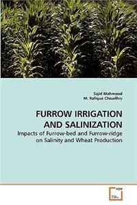 Furrow Irrigation and Salinization