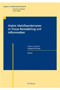 Matrix Metalloproteinases in Tissue Remodelling and Inflammation