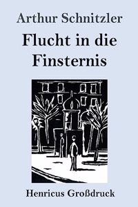 Flucht in die Finsternis (Großdruck)