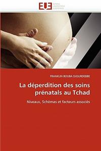 La Déperdition Des Soins Prénatals Au Tchad