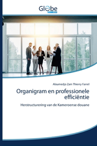 Organigram en professionele efficiëntie