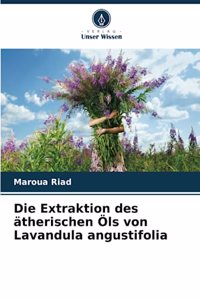 Extraktion des ätherischen Öls von Lavandula angustifolia