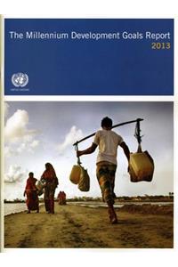 Millennium Development Goals Report 2013