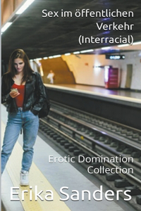Sex im Öffentlichen Verkehr (Interracial)