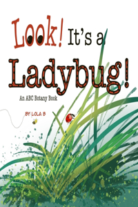 Look! It's a Ladybug!