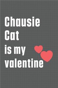 Chausie Cat is my valentine