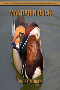 Mandarin Duck