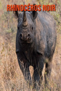 Rhinocéros Noir
