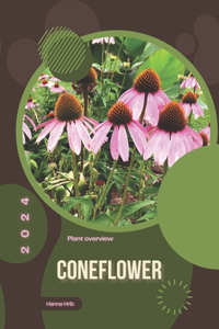 Coneflower