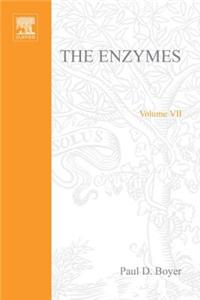 The Enzymes