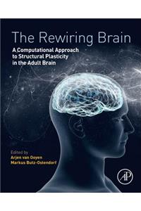 Rewiring Brain