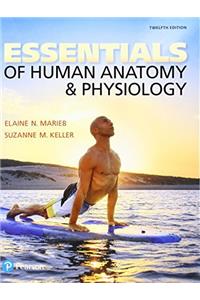 Essentials of Human Anatomy & Physiology and Modified Mastering A&p with Pearson Etext -- Valuepack Access Card Package