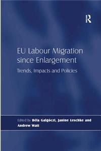 EU Labour Migration since Enlargement